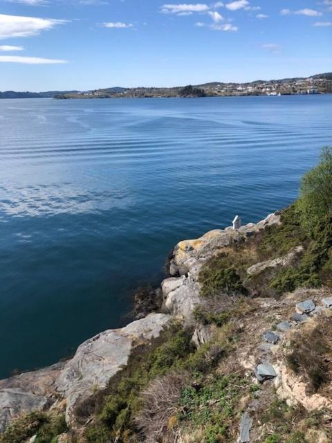 Koselig Nyoppusset 3 Roms Leilighet Med Egen Parkeringsplass I Rolige Omgivelse Naer Sjoen, 2 Mil Nord For Bergen Sentrum. Luaran gambar